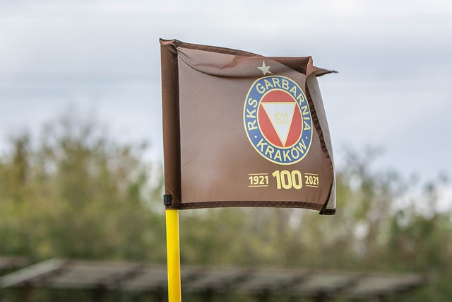 陪伴不仅是 陪伴不仅是