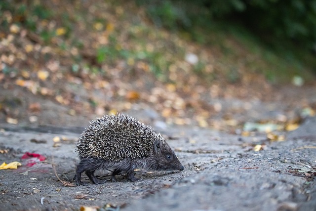 这场比赛不 这场比赛不