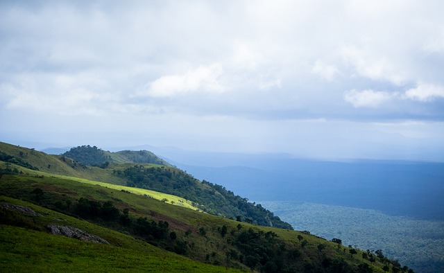 总结来看 总结来看
