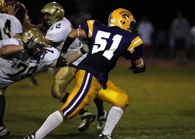 他的数据持 他的数据持