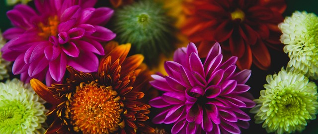 将不再局限 将不再局限