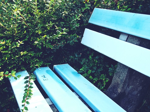 比赛命运 比赛命运