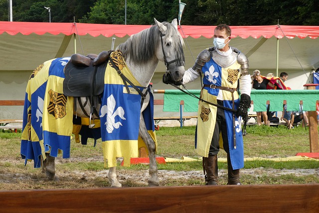 物浦的进攻 物浦的进攻