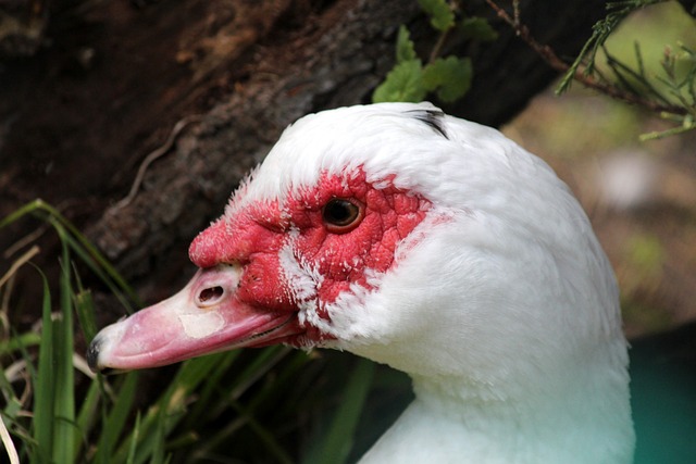 提供了宝贵 提供了宝贵