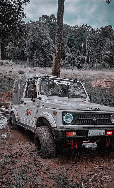 策略分析 策略分析